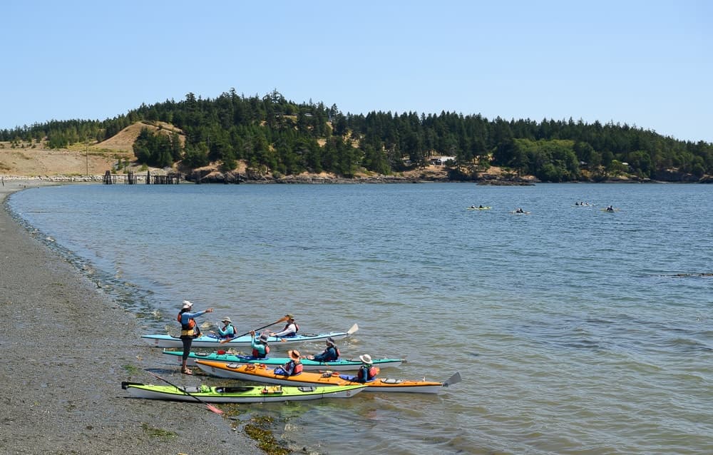 Griffin Bay Tour