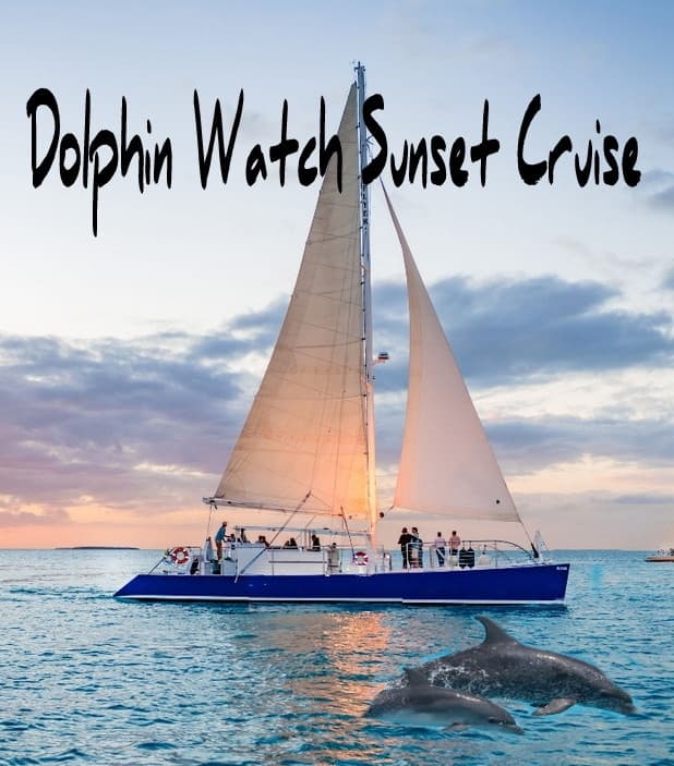 Dolphin Watching Sunset Cruise