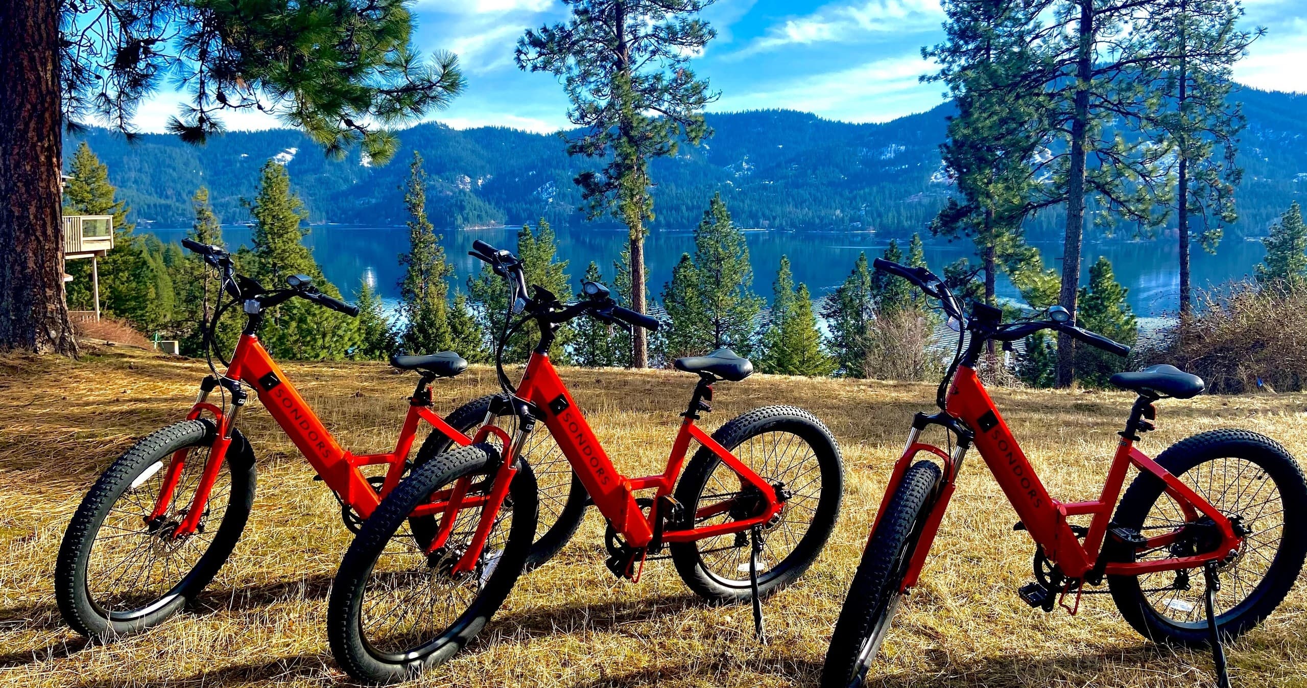 E-Bike Rentals