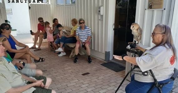 Meet and Greet