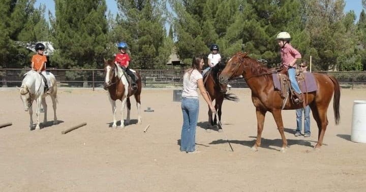 Group Lesson: One Hour Riding Lesson