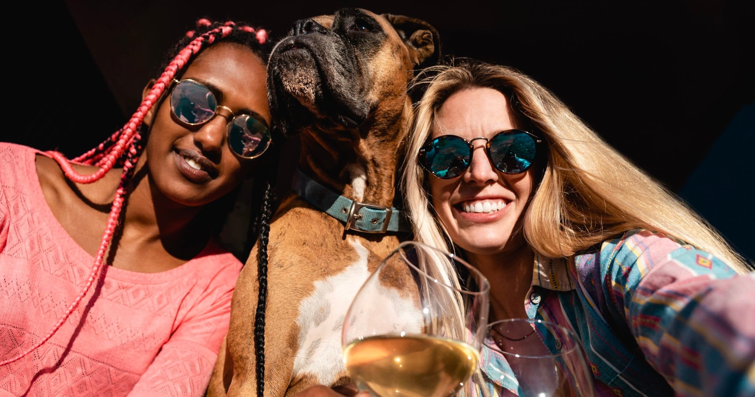 Vineyard Tours