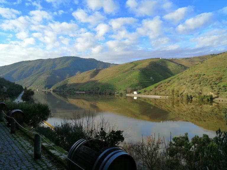 Douro Valley Wine Route Experience