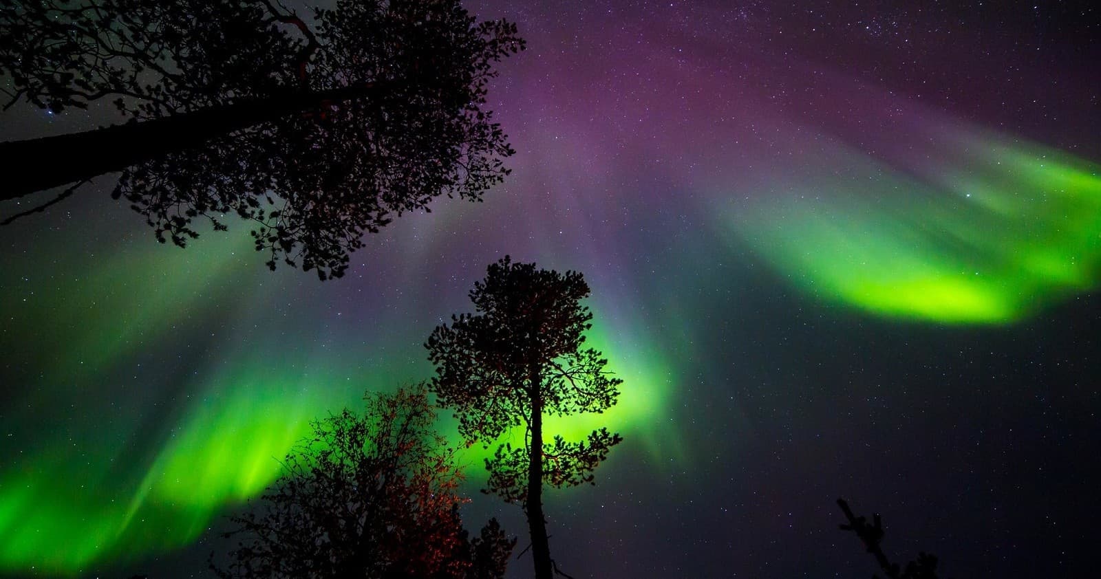 [F4] Aurora Hunting in the Wilderness (3h)