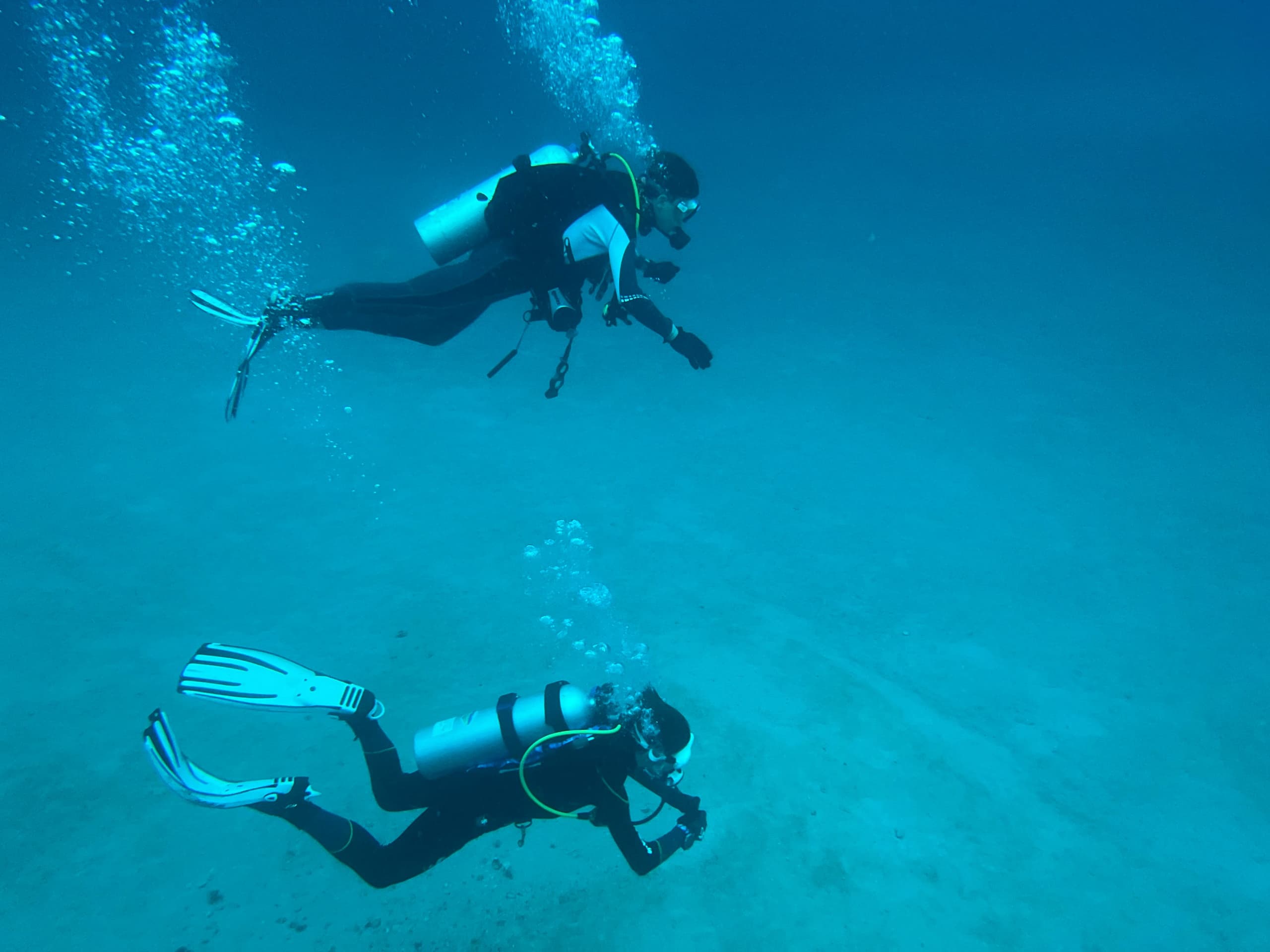 Afternoon Dive Trips