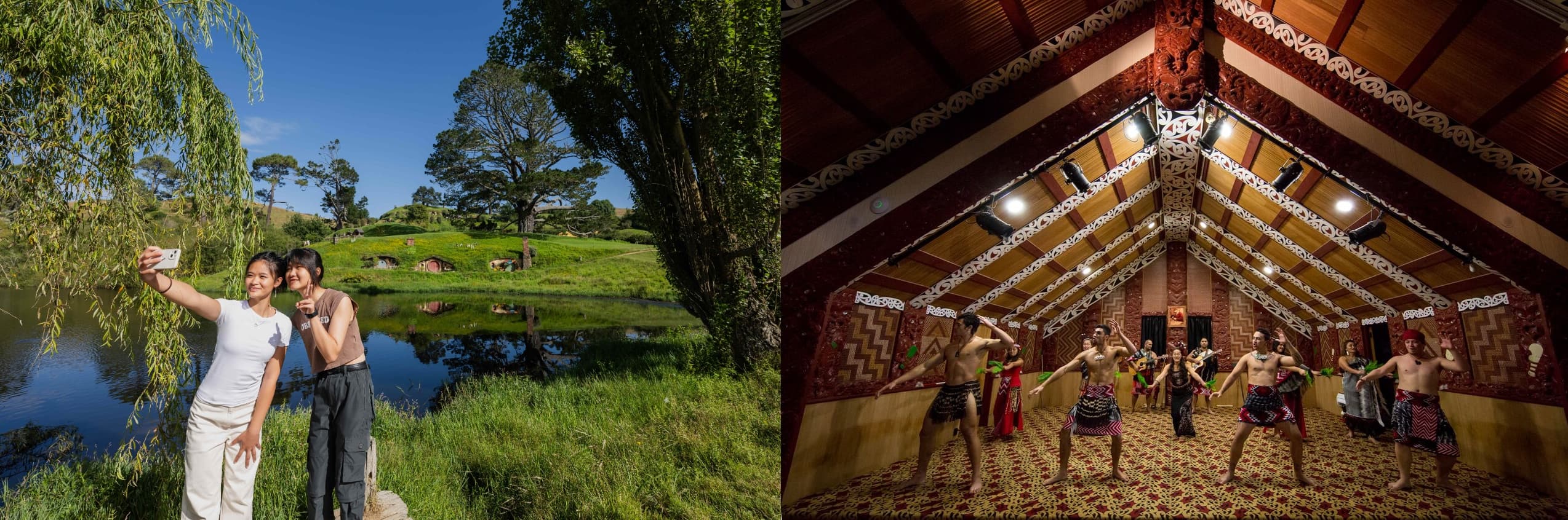 Private One Way Auckland to Rotorua including Hobbiton & Te Puia