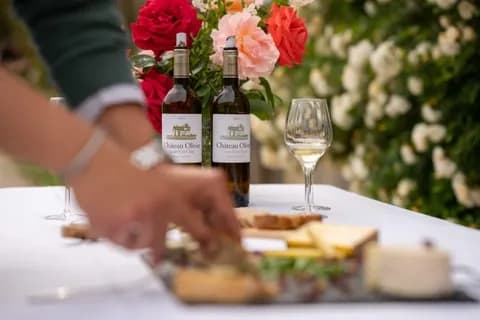 Ateliers dégustation vins blancs et fromages
