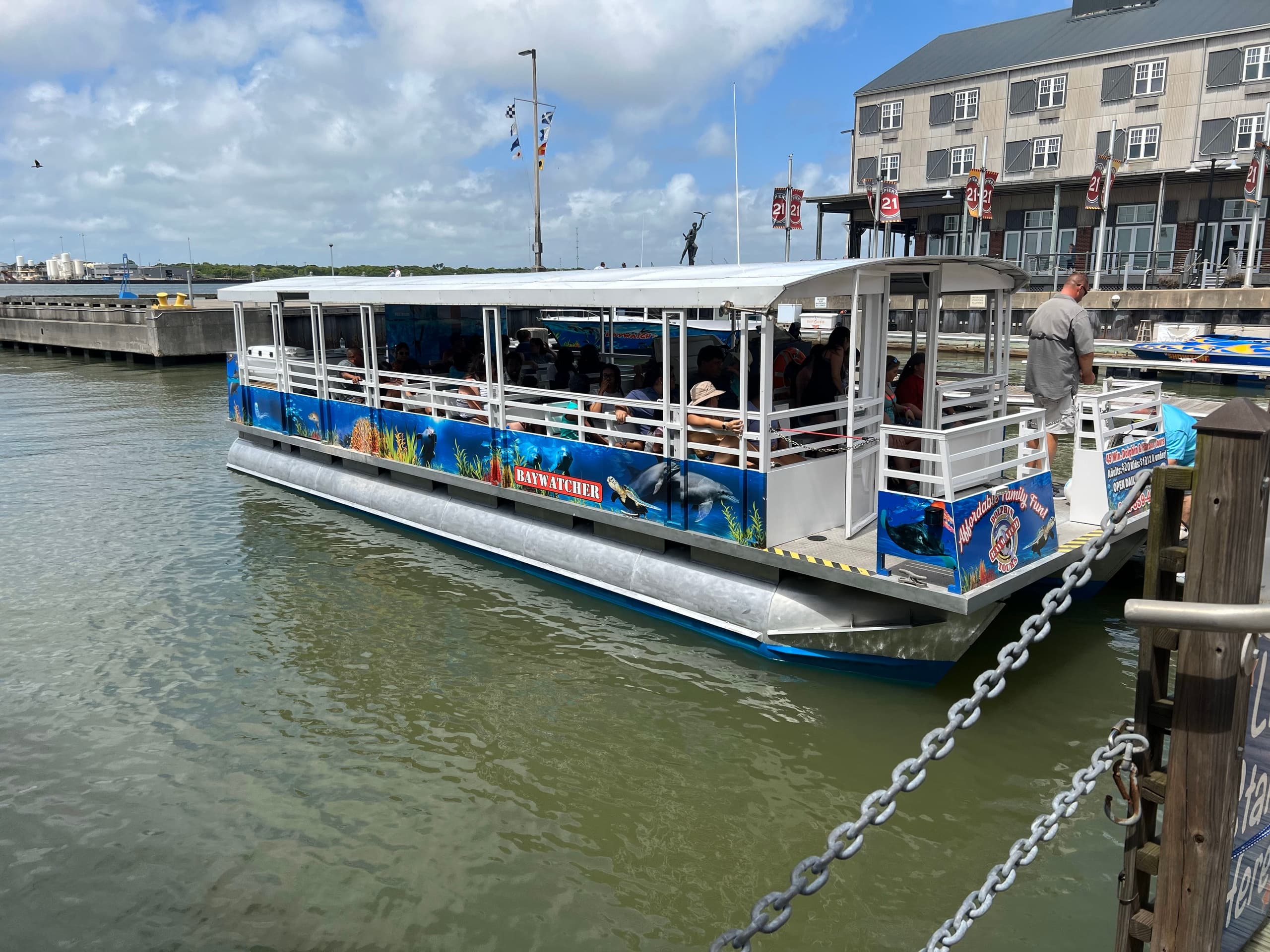 BayWatch Dolphin Boat Tour