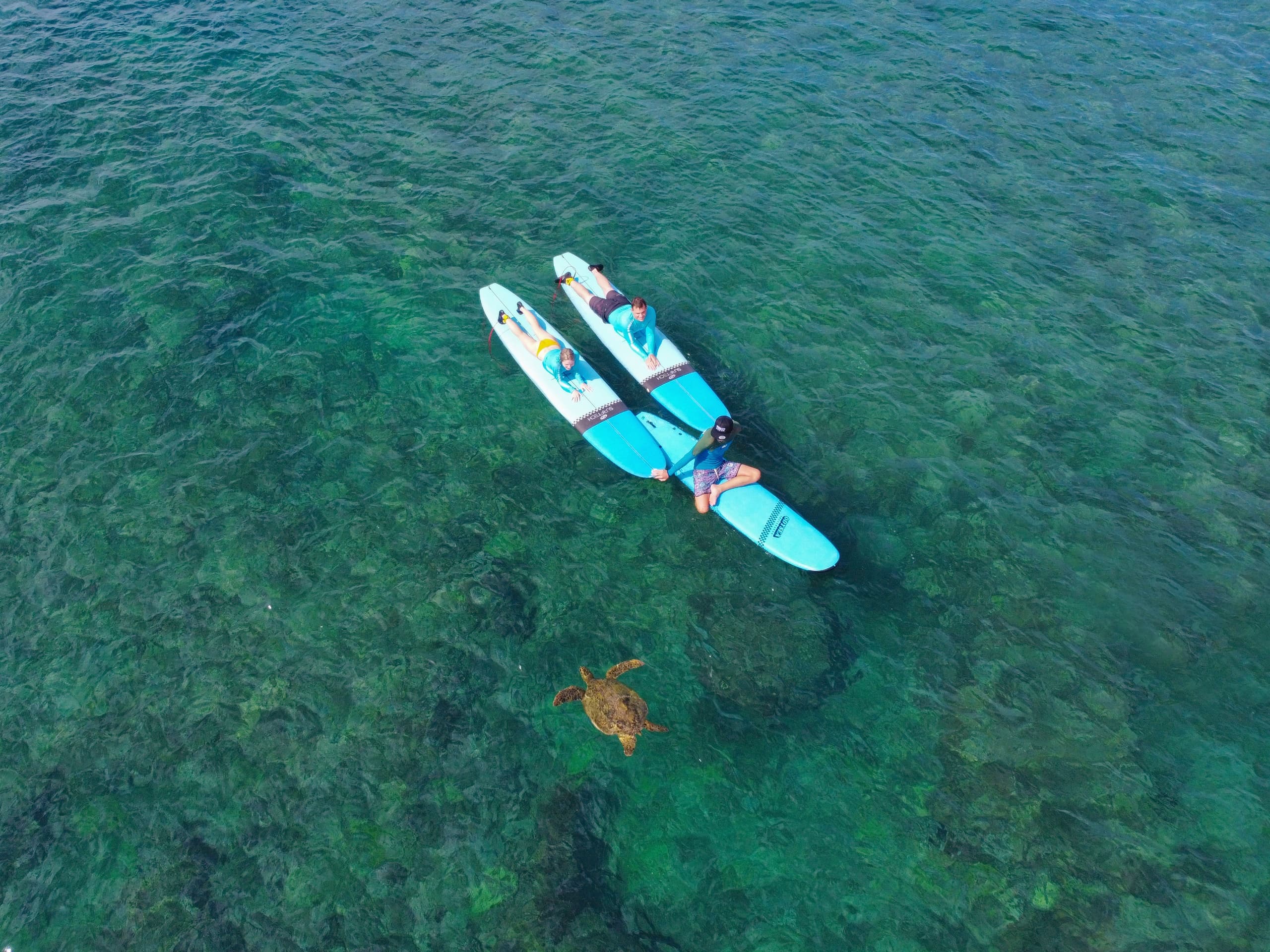 Ohana Surf Lesson