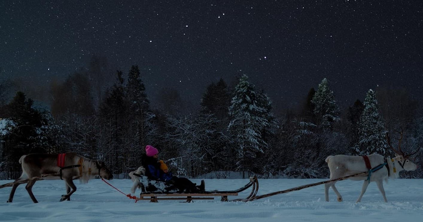 Reindeer Sleigh Ride Across the Night