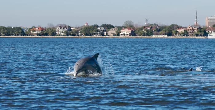 Charleston Harbor Sunset Cruise onboard the Carolina Blue