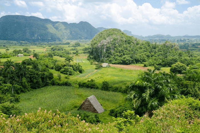 Havana to Viñales - Round Trip