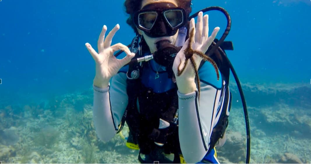 Open Water Check Out Dives