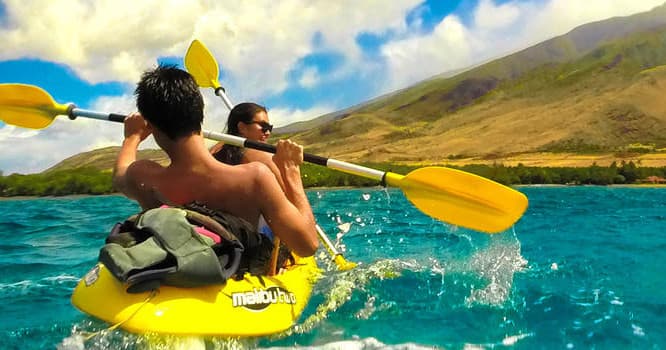 Kayak Tours