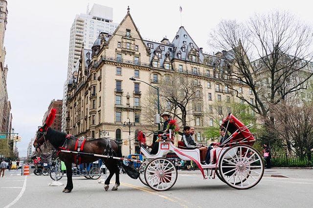Horse Carriage Ride to the Tavern on the Green at Central Park