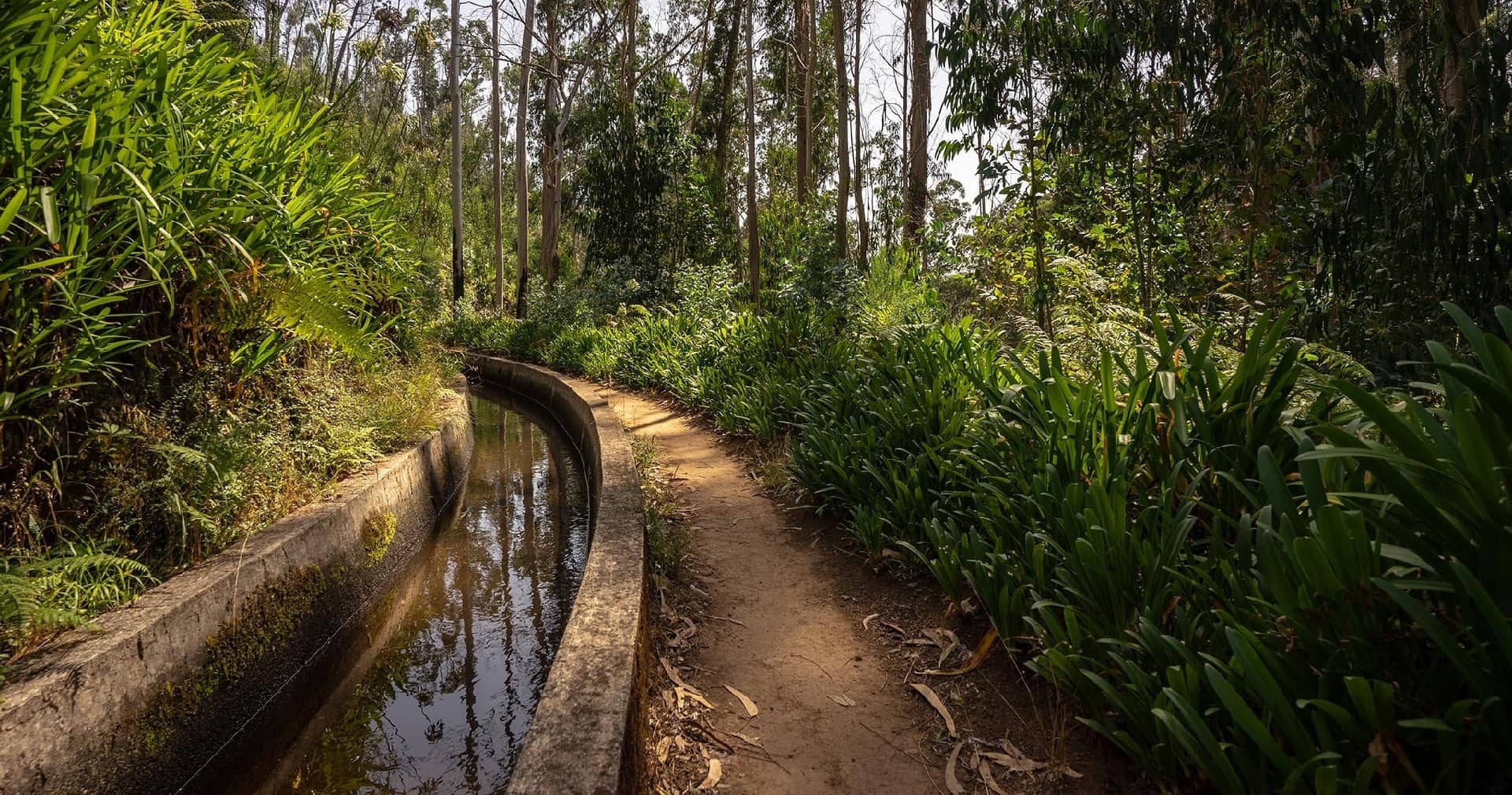 Levada dos Prazeres