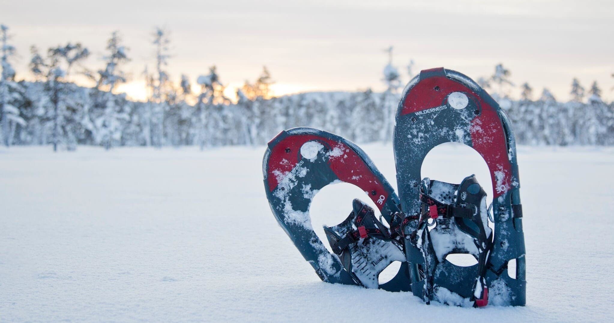 Gentle Snowshoeing