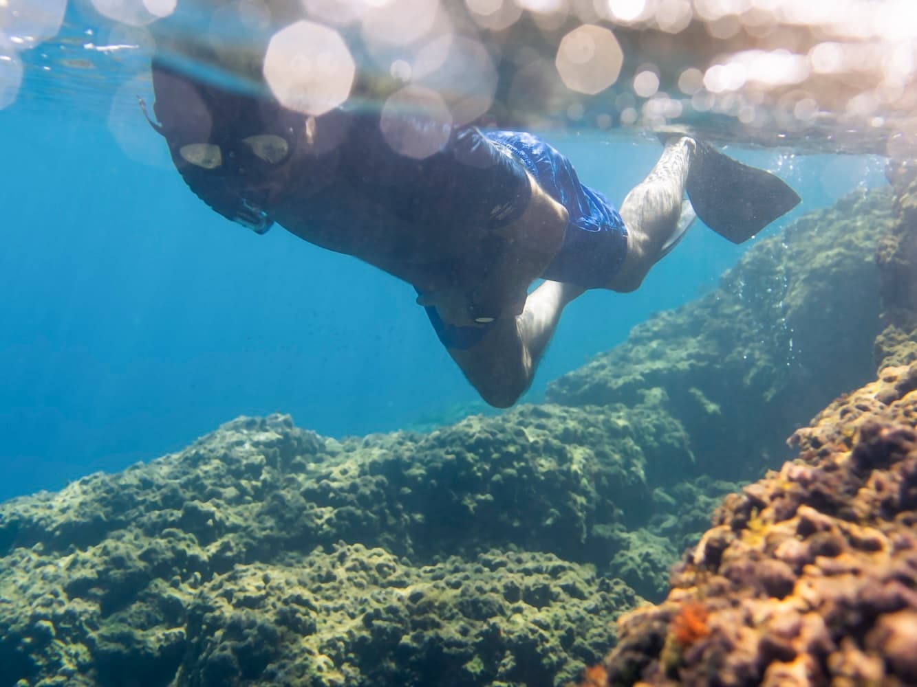 Eco-Snorkeling tour in the Marine Protected Area of Monterosso