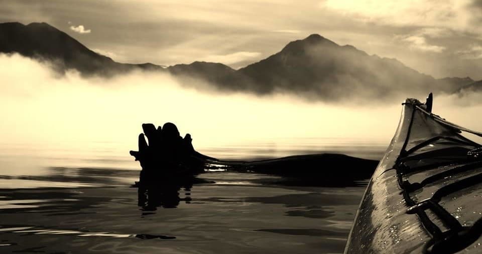 Kayak Rentals: 2 Hours