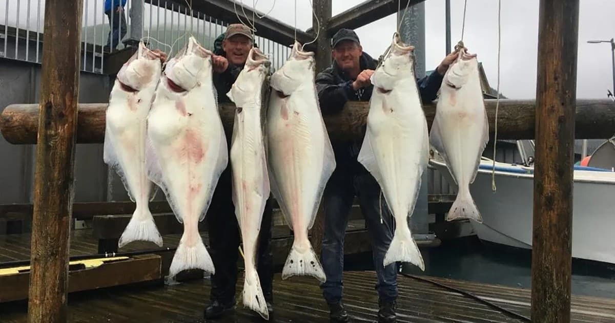 Combo: Halibut & Rockfish