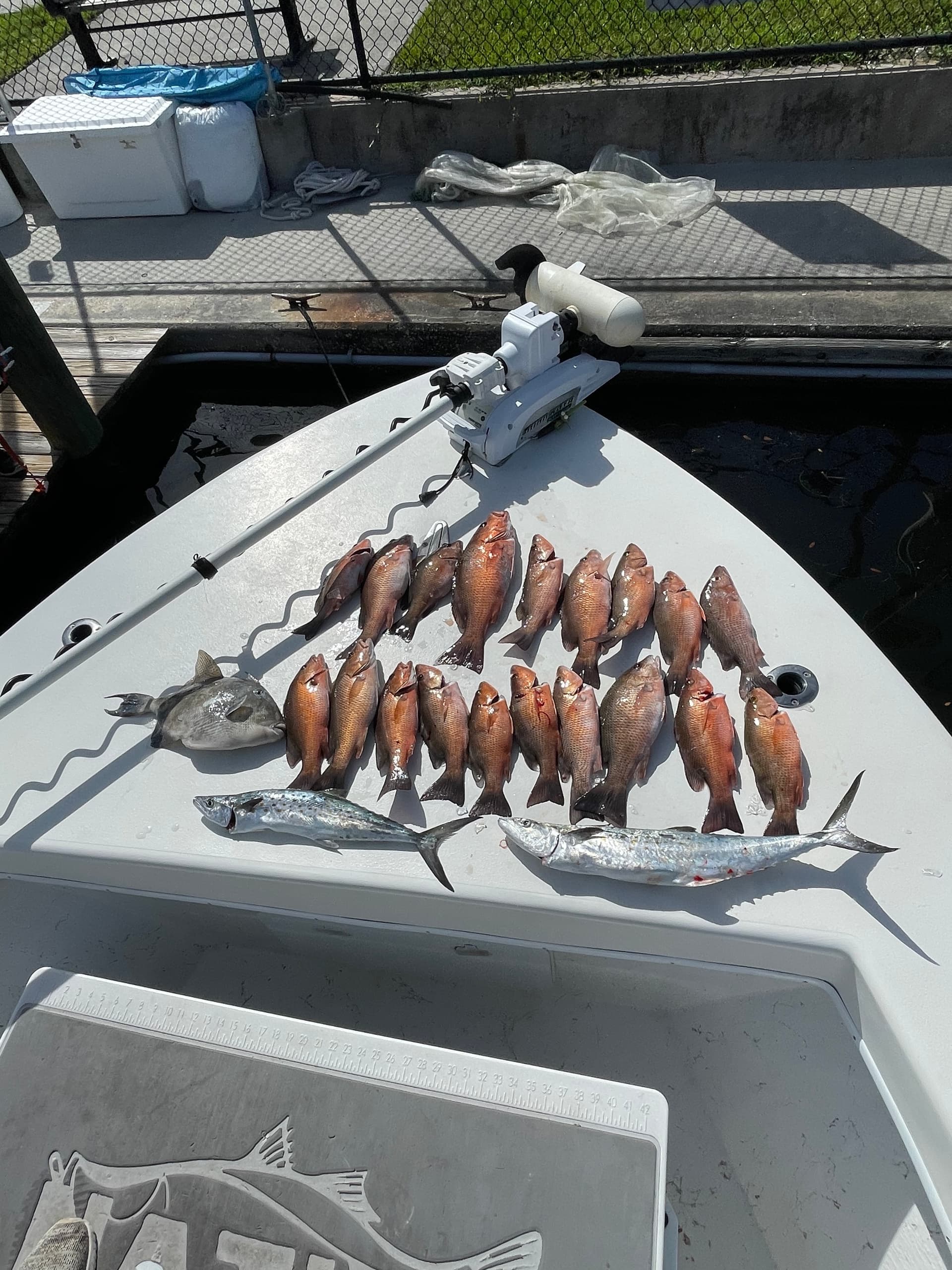 Native Nearshore Meat Trip • 4 Hour