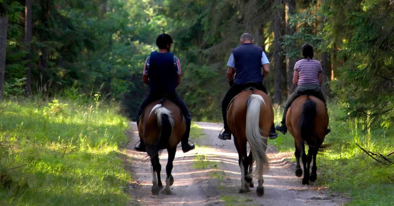 Paseo a caballo por la sierra