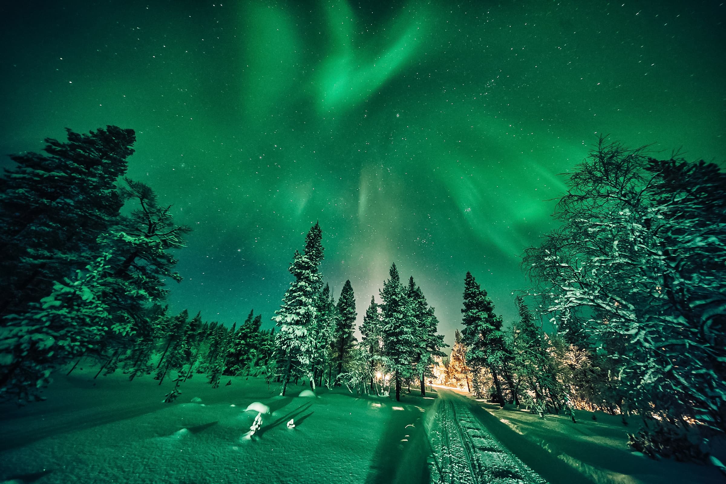 Aurora Snowshoeing in the Wilderness
