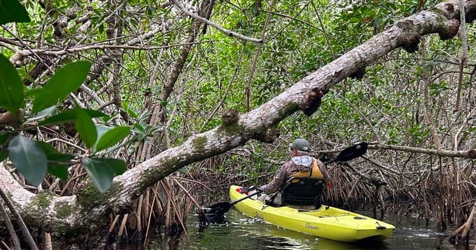 4 Hour Guided Kayak Tour