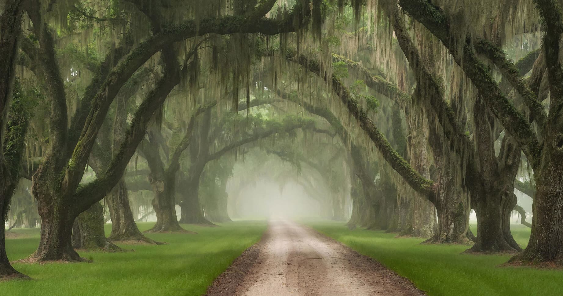 Lowcountry Southern Charm Tour