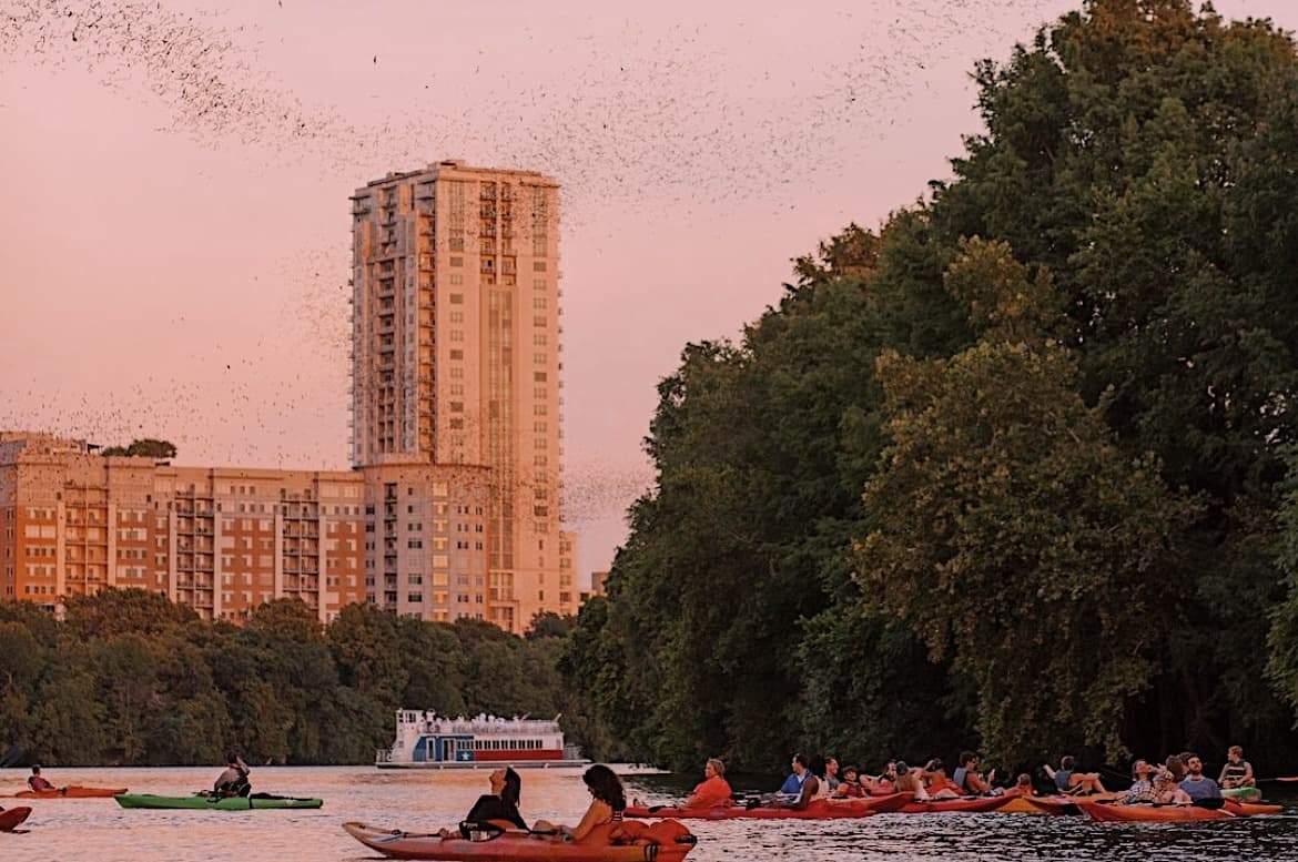 Sunset Bat Tour
