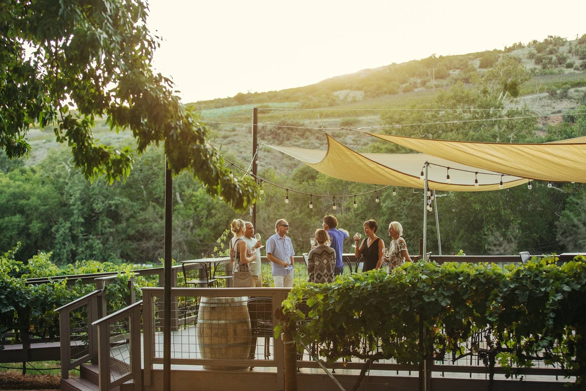 Sedona Wine Tour