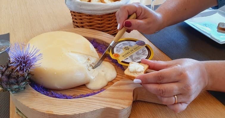Serra da Estrela Cheese & Wine Tasting