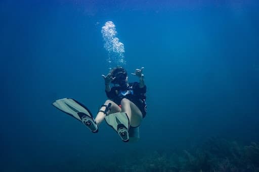 Afternoon Scuba and Snorkel Trips