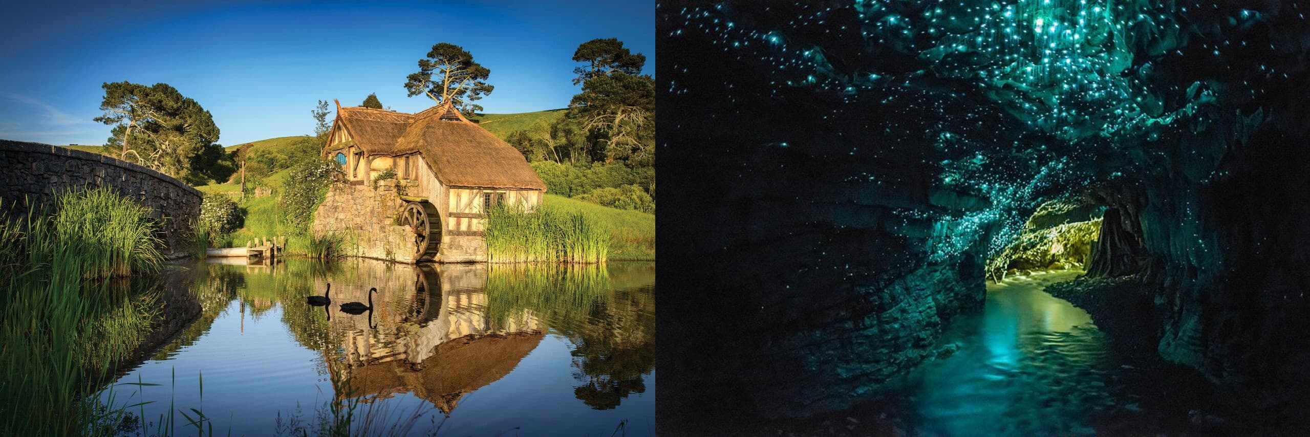 Private One Way Auckland to Rotorua including Hobbiton & Waitomo