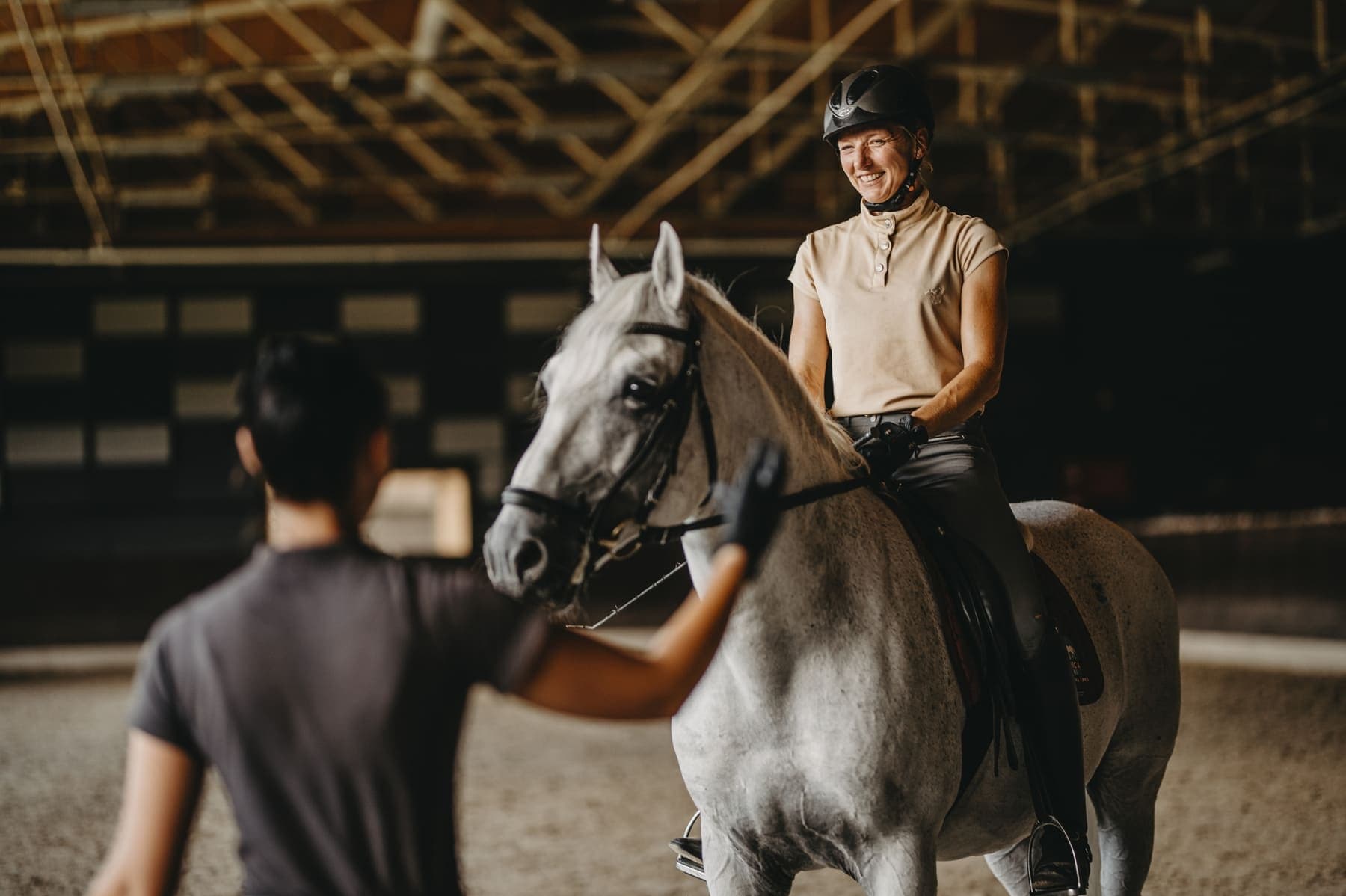 Official Training of the Lipica Riding School