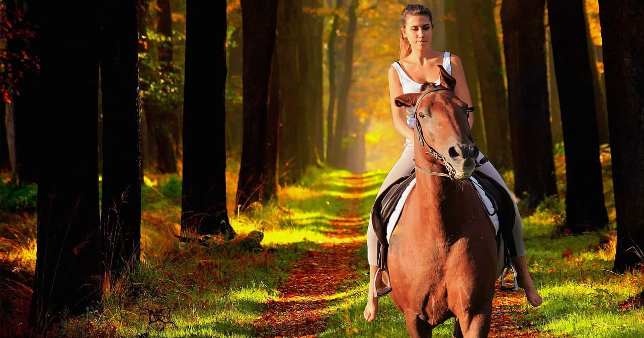 Guided Trail Ride