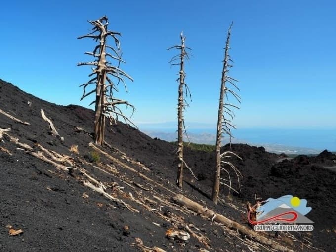 Trekking ai Crateri Eruzione del 2002