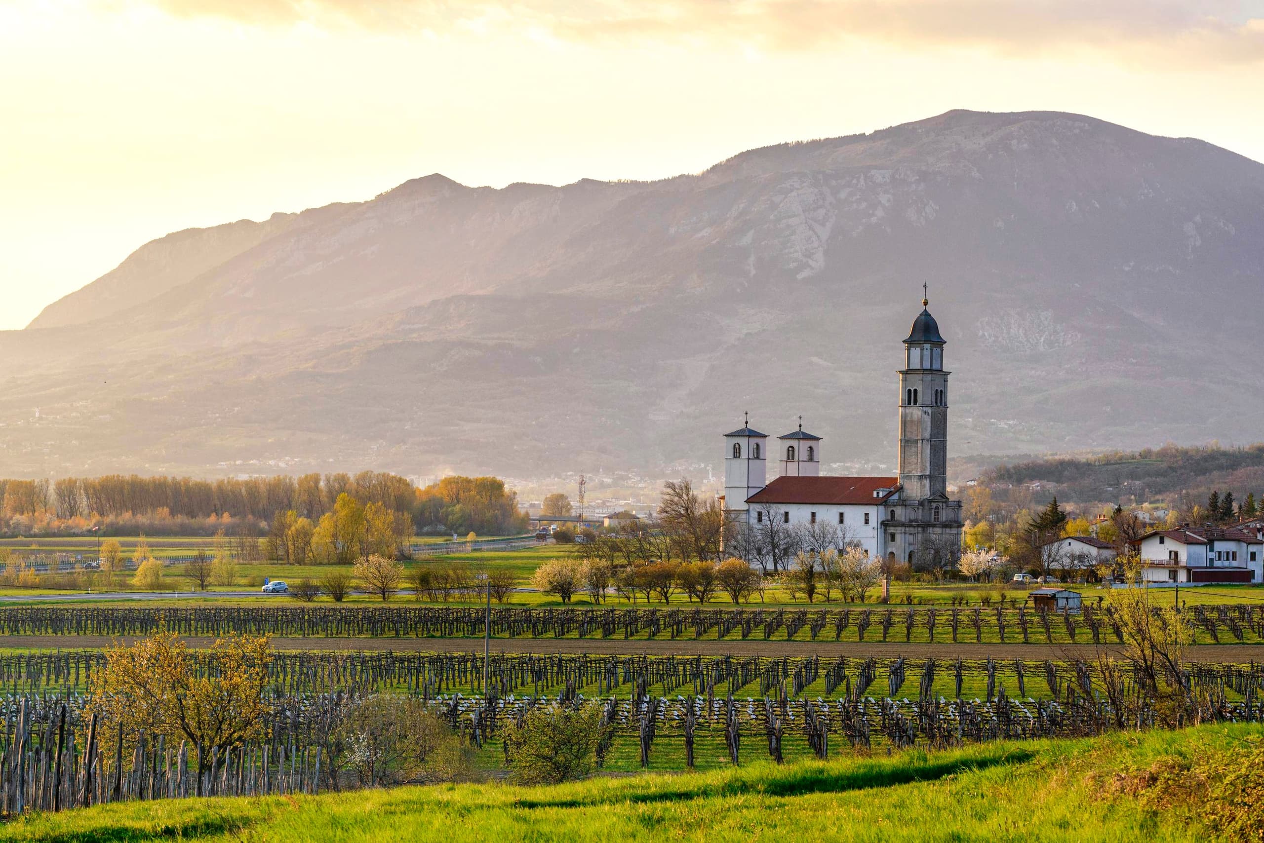 Vipava Valley Wine Express