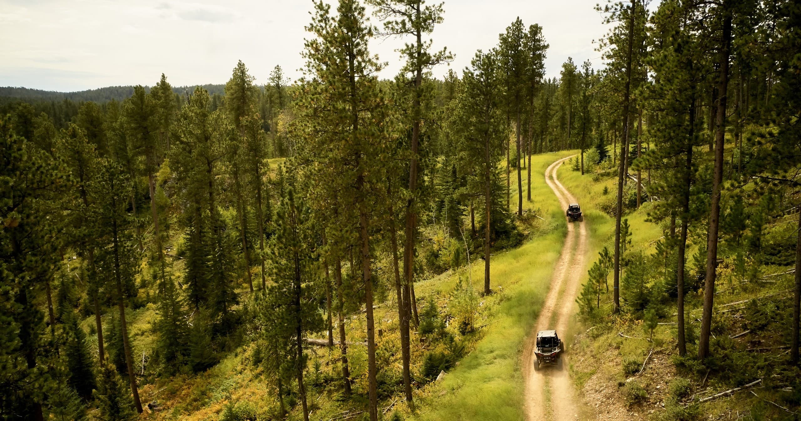 Half Day UTV Rental
