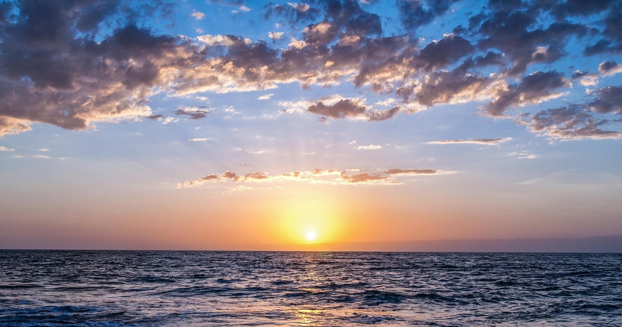 Sea Fox 2 Hour Sunset Charter