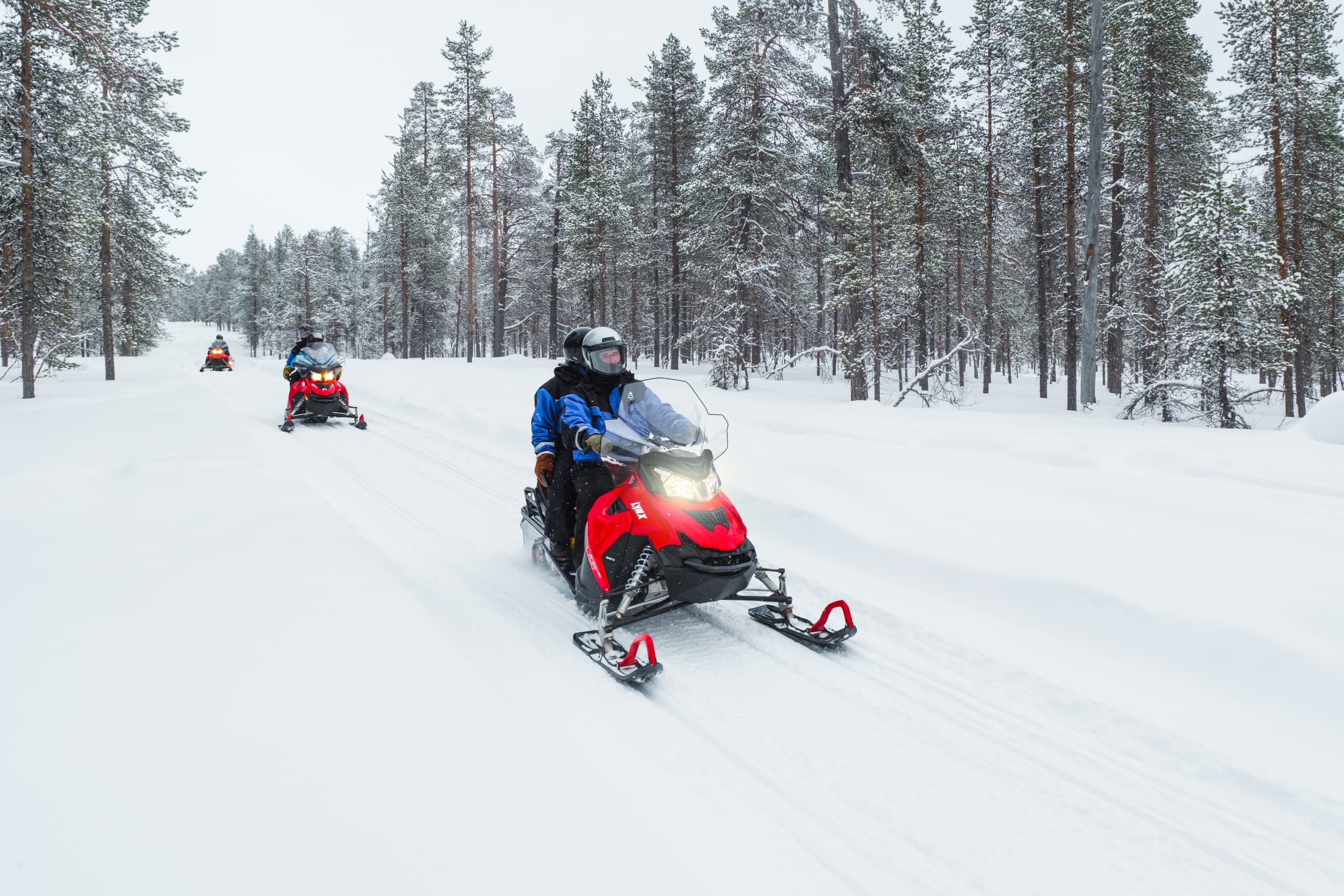Snowmobile Safari