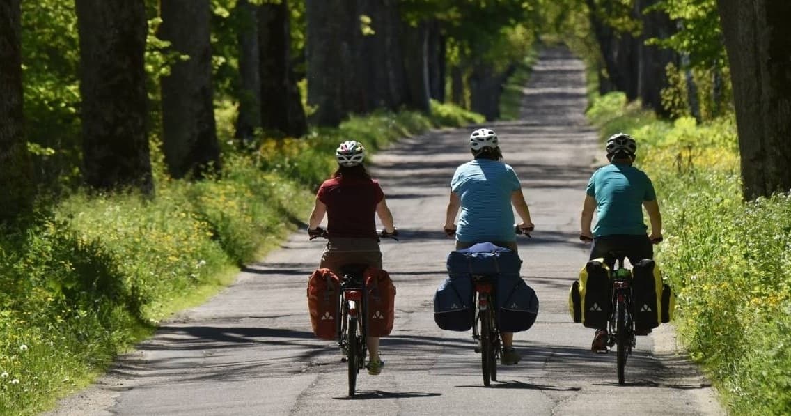 5 Days Bike Rental