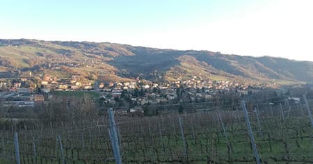 Private VIP - Wine Tour & Truffle Hunting Experience in Tuscany