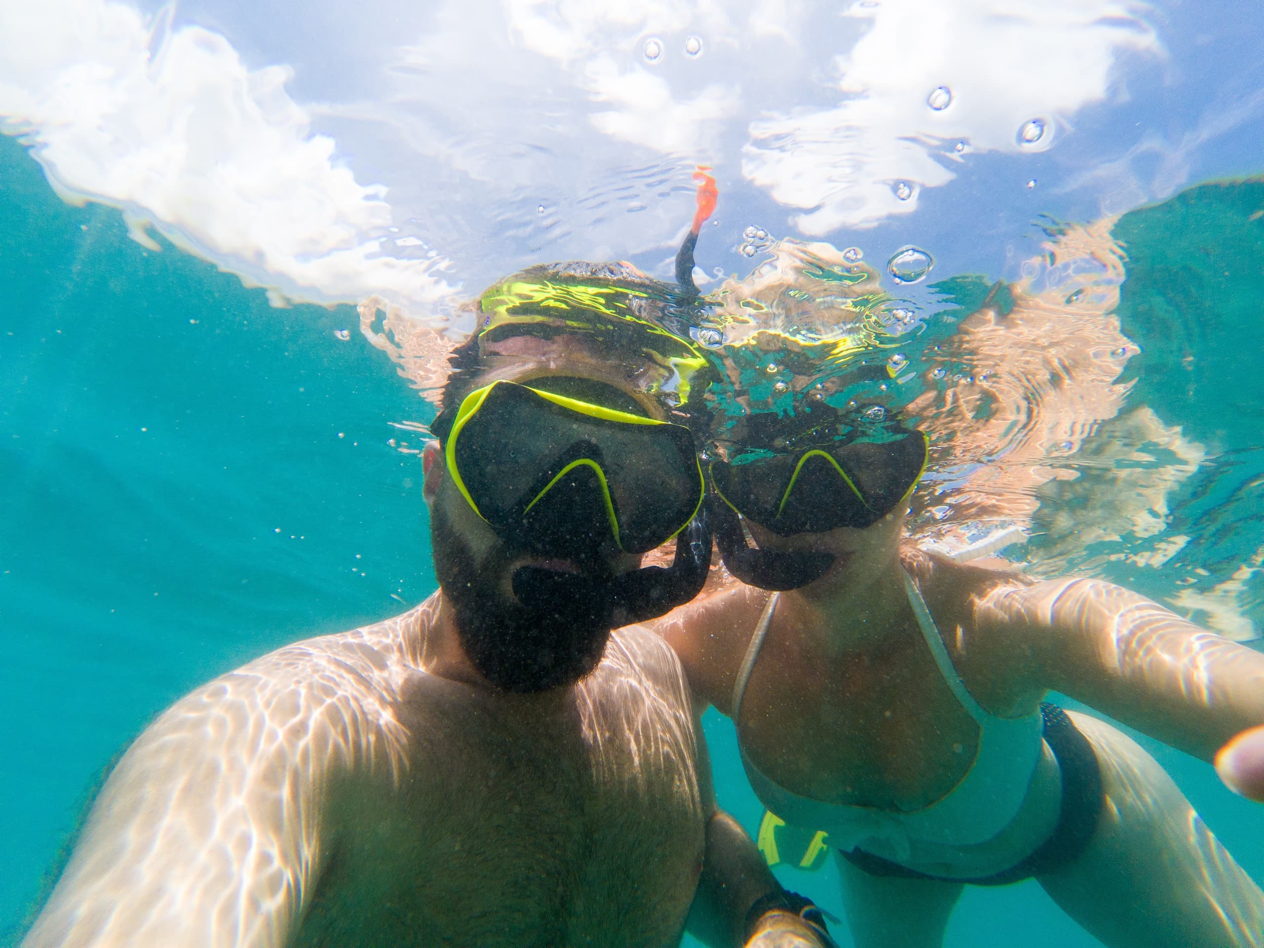 🎉All Inclusive Scallop Fishing  &   👙 Snorkeling Crystal River Springs• Experience the SeaDaddys Difference