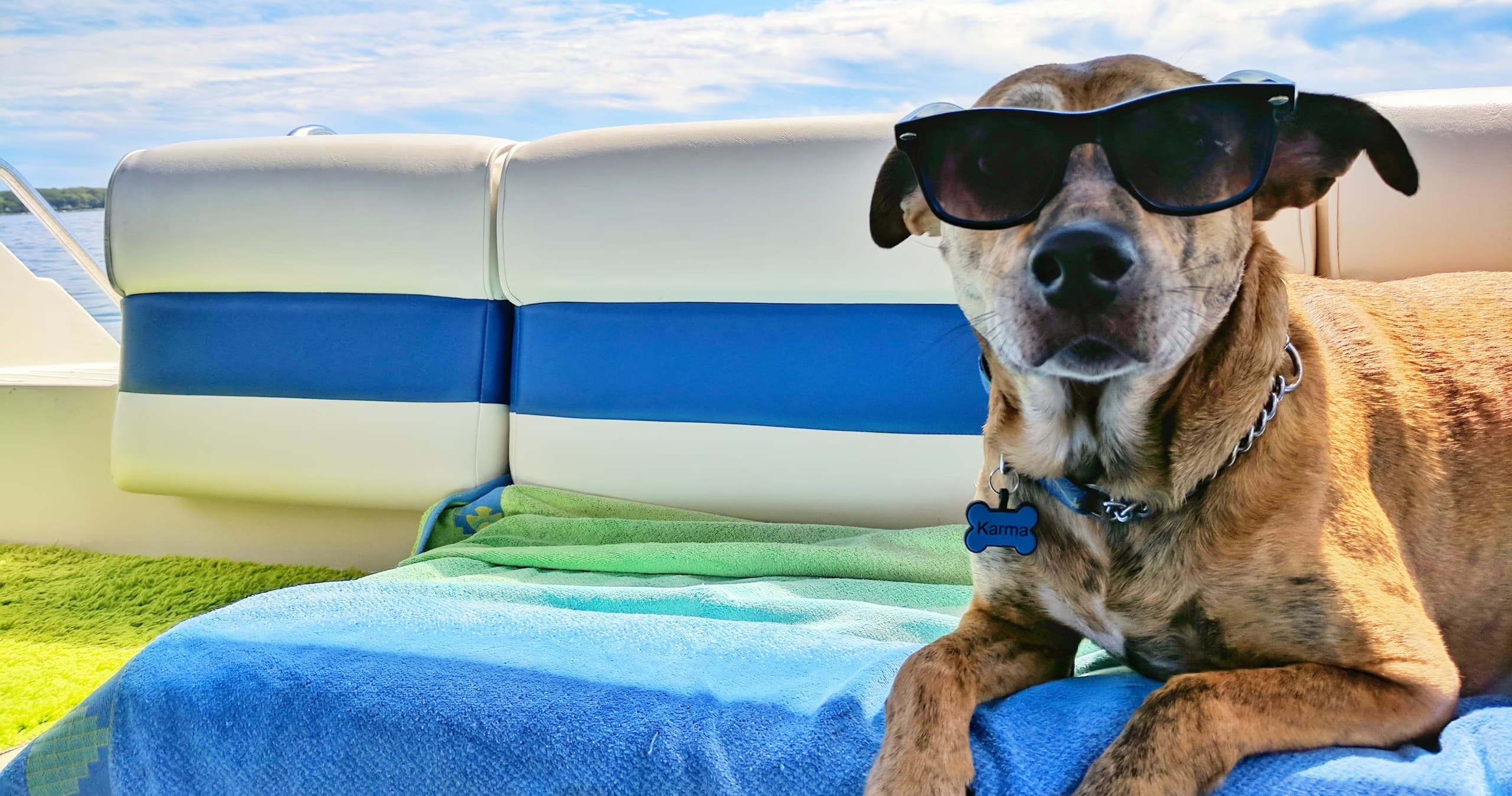 Pontoon Boat