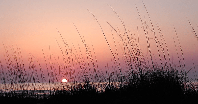 Beach Gear Rental • Five Days