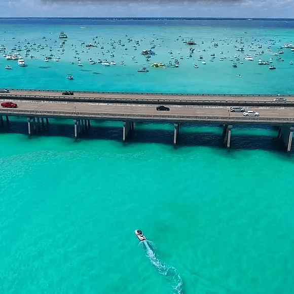Crab Island, Dolphins, & Snorkeling