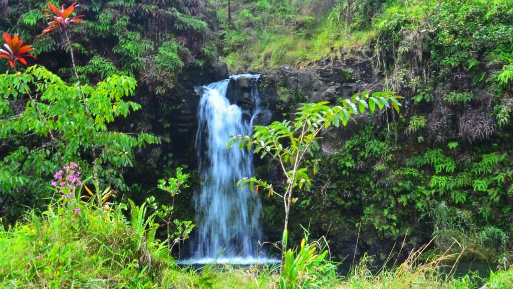 Half Day Road to Hana Tour