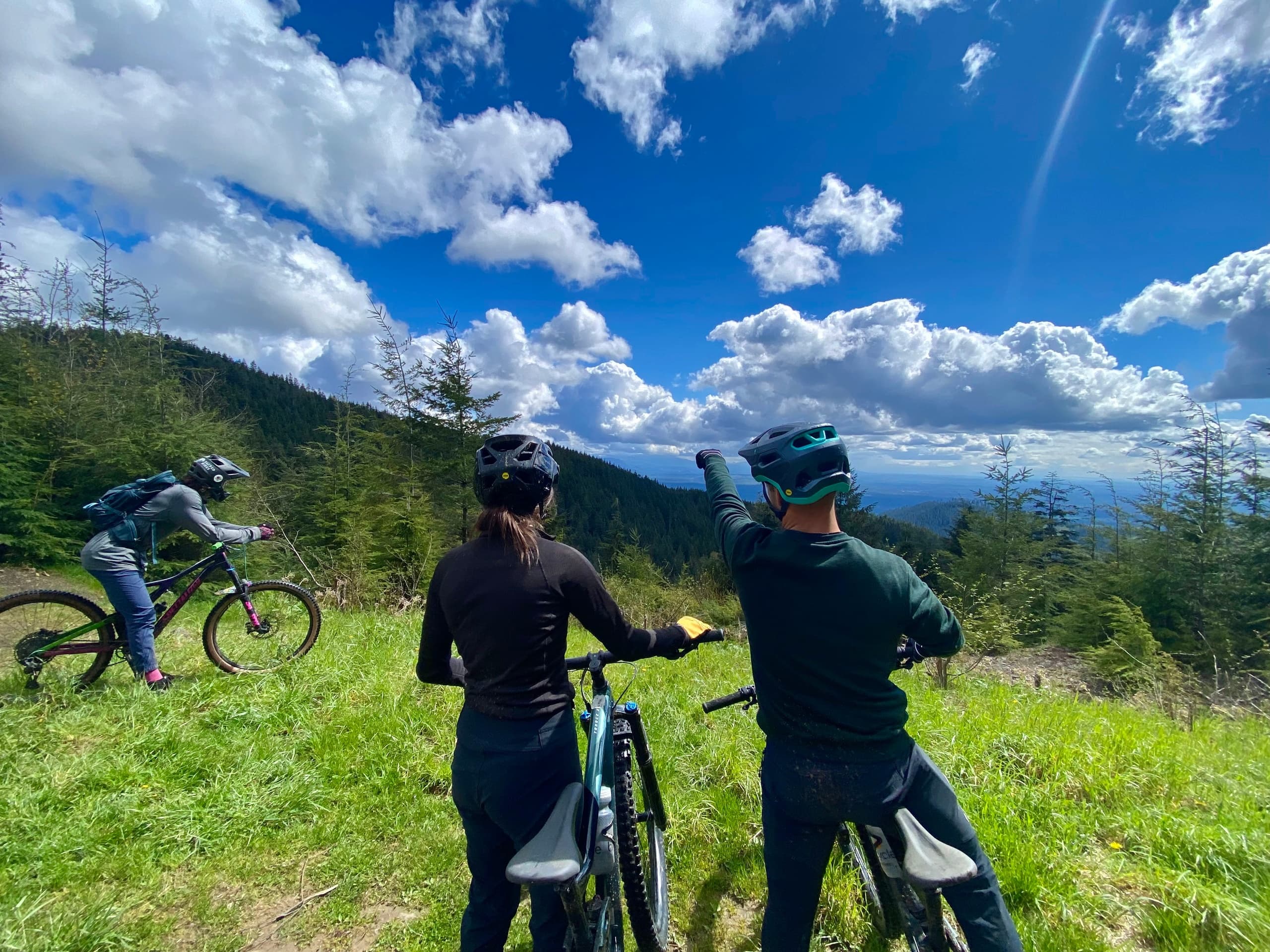 Half Day Tour from Seattle