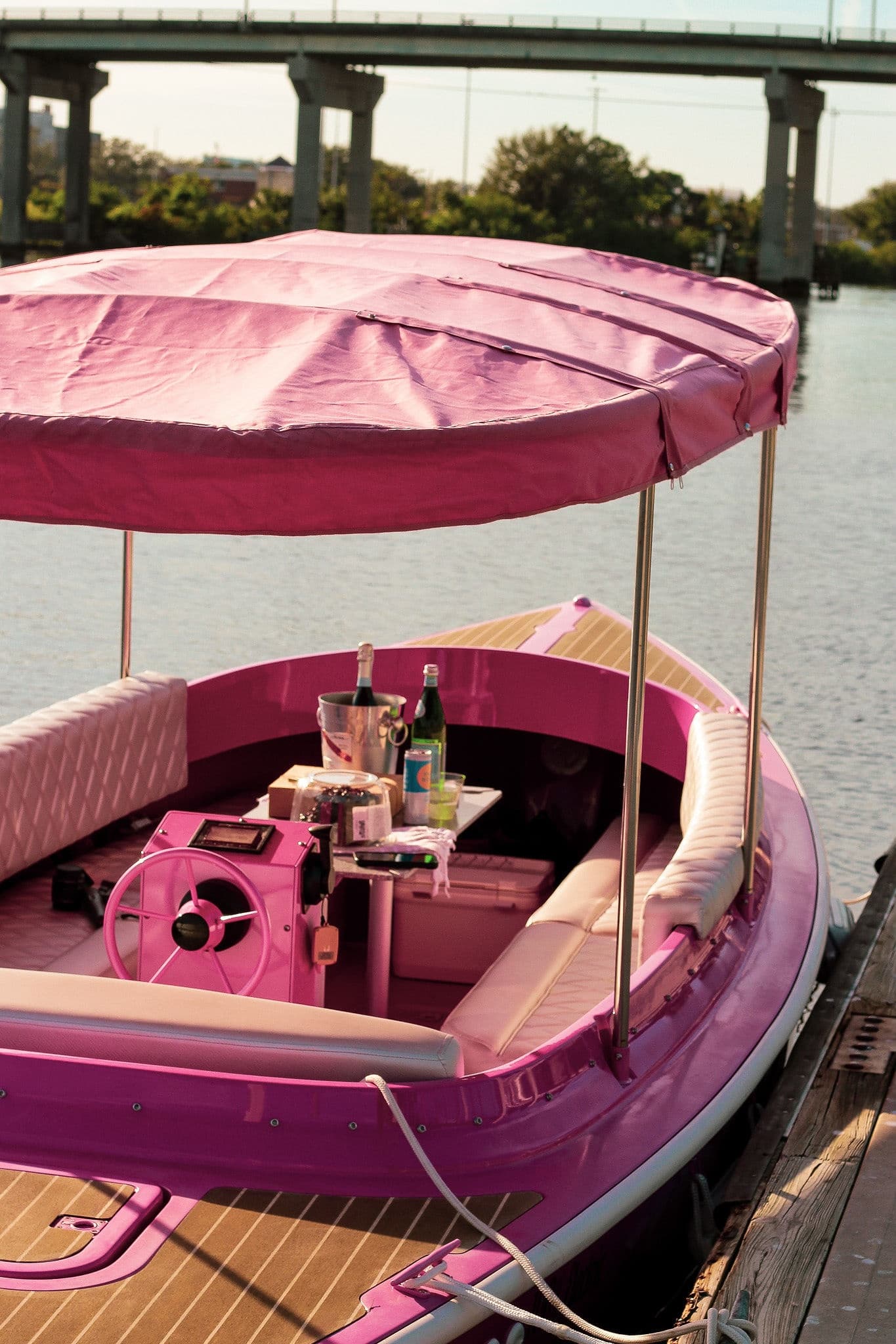 Electric Cruise